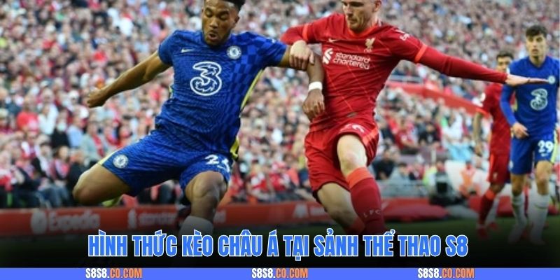 Hình thức kèo châu Á tại sảnh thể thao S8