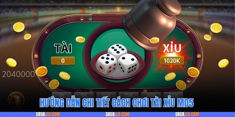 Tổng quan chi tiết về cách chơi tài xỉu MD5