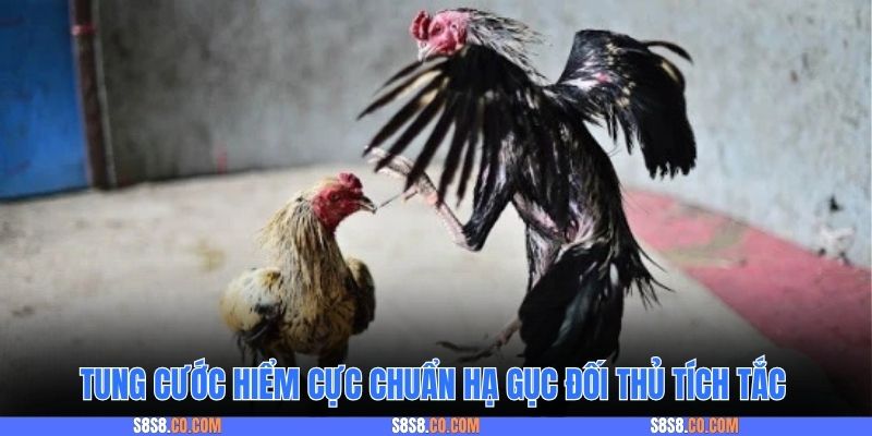 Tung cước hiểm cực chuẩn hạ gục đối thủ tích tắc